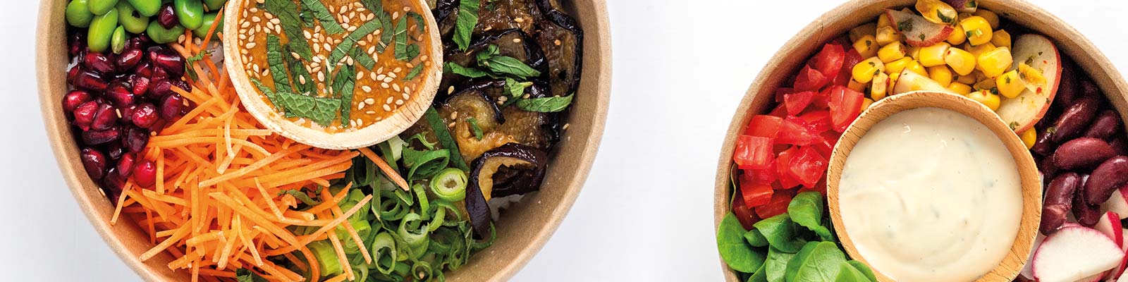 VeganMasters_topgraphic_food_04